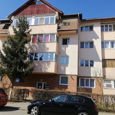 Studio Acasa Sibiu Exterior foto