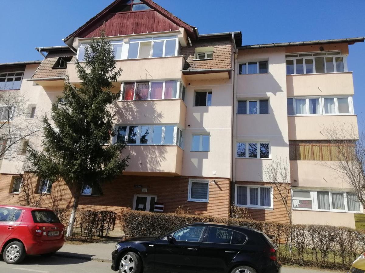Studio Acasa Sibiu Exterior foto